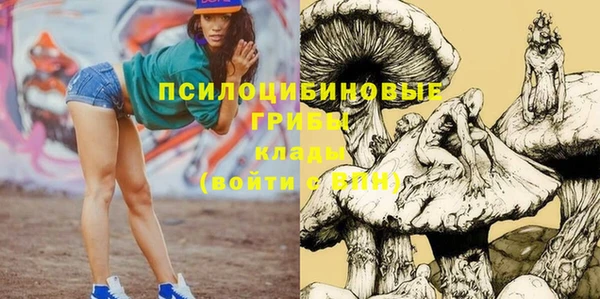 a pvp Дмитров