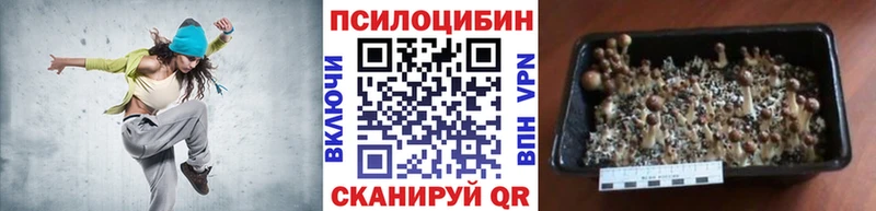 Псилоцибиновые грибы мухоморы  мега как войти  Черкесск 